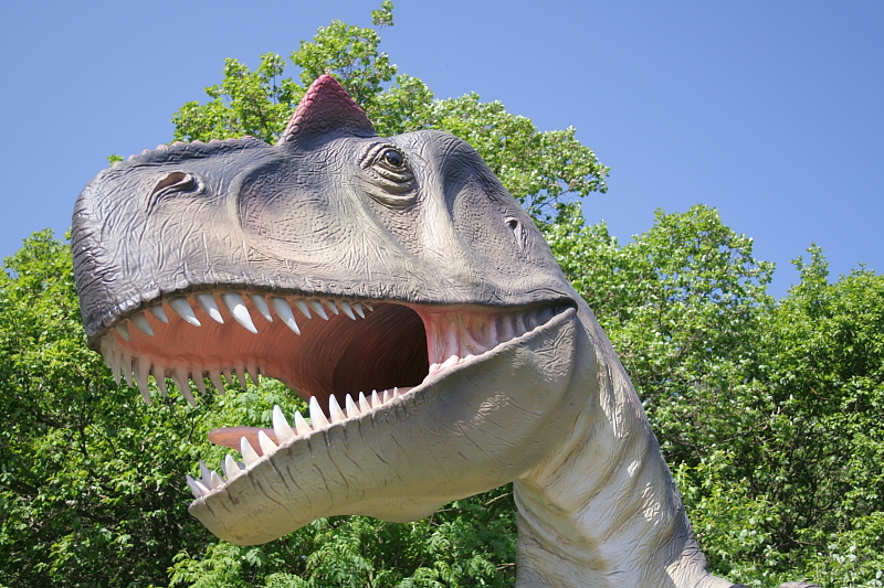 Dino Park Rügen